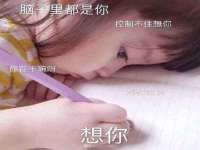 石家庄高新区加里奥综合服务部