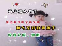 石家庄高新区加里奥综合服务部