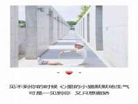 石家庄高新区加里奥综合服务部