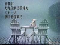 石家庄高新区加里奥综合服务部