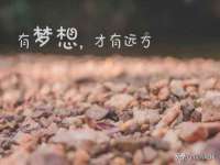 石家庄高新区加里奥综合服务部