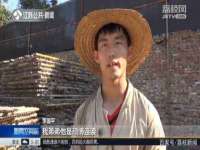 石家庄高新区加里奥综合服务部