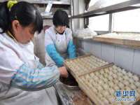 石家庄高新区加里奥综合服务部