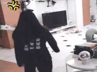 石家庄高新区加里奥综合服务部