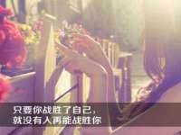 石家庄高新区加里奥综合服务部