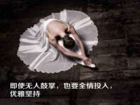 石家庄高新区加里奥综合服务部