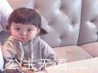 石家庄高新区加里奥综合服务部