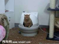 石家庄高新区加里奥综合服务部