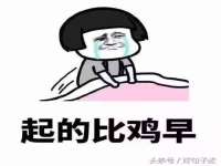 石家庄高新区加里奥综合服务部