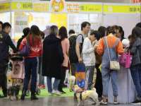 石家庄高新区加里奥综合服务部
