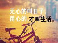 石家庄高新区加里奥综合服务部