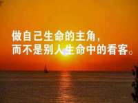 石家庄高新区加里奥综合服务部