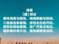 石家庄高新区加里奥综合服务部