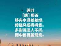 石家庄高新区加里奥综合服务部