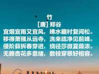 石家庄高新区加里奥综合服务部