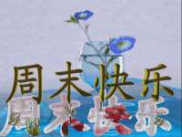 石家庄高新区加里奥综合服务部