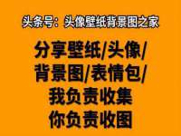 石家庄高新区加里奥综合服务部