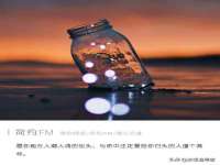 石家庄高新区加里奥综合服务部