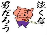 石家庄高新区加里奥综合服务部