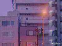石家庄高新区加里奥综合服务部