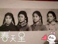 石家庄高新区加里奥综合服务部