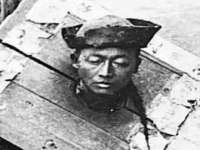 石家庄高新区加里奥综合服务部