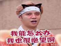 石家庄高新区加里奥综合服务部