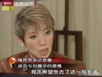 石家庄高新区加里奥综合服务部