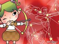 石家庄高新区加里奥综合服务部