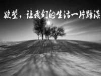 石家庄高新区加里奥综合服务部