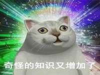 石家庄高新区加里奥综合服务部