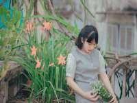 石家庄高新区加里奥综合服务部