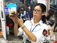 石家庄高新区加里奥综合服务部
